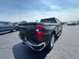 Used 2023 Chevrolet Silverado 1500 LT w/ Protection Package image 6