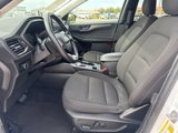 Used 2024 Ford Escape Active w/ Tech Pack #1 image 2