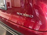 Certified 2024 Lexus RX 350 Premium w/ Cold Area Package image 6