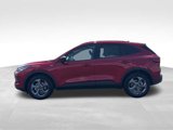 New 2025 Ford Escape ST-Line w/ Equipment Group 301A image 2