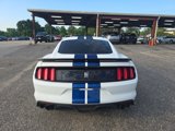 Used 2017 Ford Mustang Shelby GT350 image 5