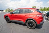 Used 2022 Ford Escape SE w/ Cold Weather Package image 4
