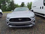 Used 2023 Ford Mustang Premium image 2