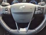 Certified 2023 Ford Bronco Sport Big Bend w/ Convenience Package image 5