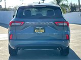 New 2024 Ford Escape ST-Line w/ Tech Pack #1 image 5