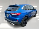 Used 2021 Ford Escape SE image 4