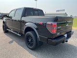 Used 2011 Ford F150 FX4 w/ FX Luxury Pkg image 3