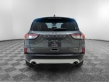 Used 2021 Ford Escape SE w/ Convenience Package image 4