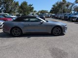 Certified 2023 Ford Mustang Premium image 2