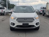 Used 2019 Ford Escape SE image 2