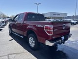 Used 2014 Ford F150 XLT w/ Equipment Group 302A Luxury image 3
