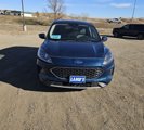 Used 2020 Ford Escape SE image 4