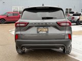 New 2025 Ford Escape ST-Line w/ Equipment Group 301A image 5