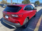 Used 2020 Ford Escape SEL image 4