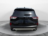 Used 2020 Ford Escape Titanium image 4