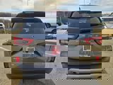 New 2025 Ford Escape Active w/ Cold Weather Package image 6