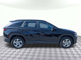 Used 2024 Hyundai Tucson SEL image 2