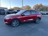 New 2025 Ford Escape ST-Line w/ Tech Pack #1 image 4