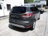 Used 2013 Ford Escape SEL image 5