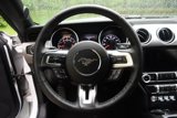 Used 2019 Ford Mustang Coupe w/ Equipment Group 101A image 4