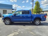 New 2024 Ford F150 XLT w/ Mobile Office Package image 2