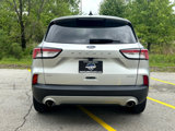 Used 2020 Ford Escape SE image 5