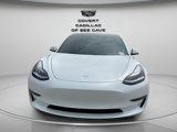 Used 2021 Tesla Model 3 Standard Range Plus image 3