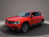 Used 2019 Volkswagen Tiguan SE w/ Panoramic Sunroof Package image 3
