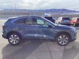 New 2025 Ford Escape Platinum w/ Premium Technology Package image 6