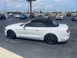 Used 2019 Ford Mustang Premium image 4