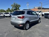 Certified 2022 Ford EcoSport SE image 6