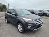 Used 2019 Ford Escape SE image 4