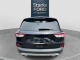 Certified 2020 Ford Escape SEL image 5