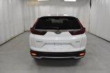 Used 2020 Honda CR-V EX-L image 6