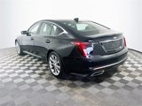 Used 2023 Cadillac CT5 Premium Luxury w/ Climate Package image 4