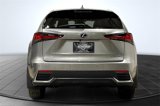 Used 2021 Lexus NX 300h AWD w/ Premium Package image 4