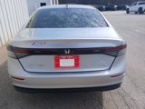 Used 2024 Honda Accord EX image 4
