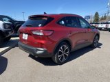 Used 2021 Ford Escape SE w/ SE Sport Appearance Package image 5