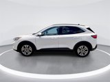 Used 2020 Ford Escape SEL image 4