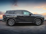 New 2025 INFINITI QX60 Pure image 2