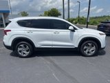 Used 2022 Hyundai Santa Fe SEL image 3