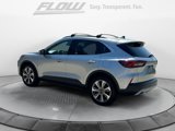 Used 2023 Ford Escape Platinum image 6