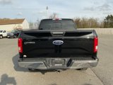 Used 2016 Ford F150 XLT w/ Equipment Group 302A Luxury image 6