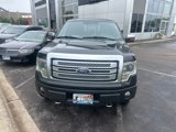 Used 2013 Ford F150 Platinum image 3