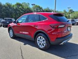 Used 2025 Ford Escape Active w/ Cold Weather Package image 4