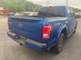 Used 2015 Ford F150 XLT image 4