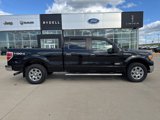 Used 2011 Ford F150 XLT w/ XLT Chrome Pkg image 2