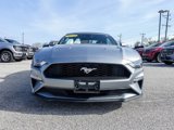Used 2022 Ford Mustang Premium image 3