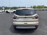 Used 2017 Ford Escape SE w/ Equipment Group 201A image 4