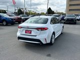 Used 2020 Toyota Corolla LE w/ Body Protection Package image 4